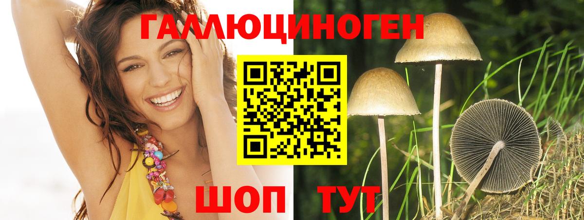 Псилоцибиновые грибы MAGIC MUSHROOMS Джанкой